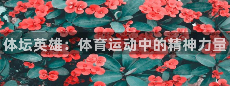 k1体育十年平台：体坛英雄：体育运动中的精神力量