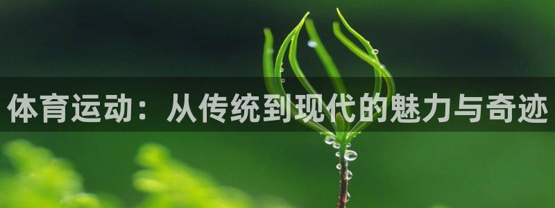 k1体育入口