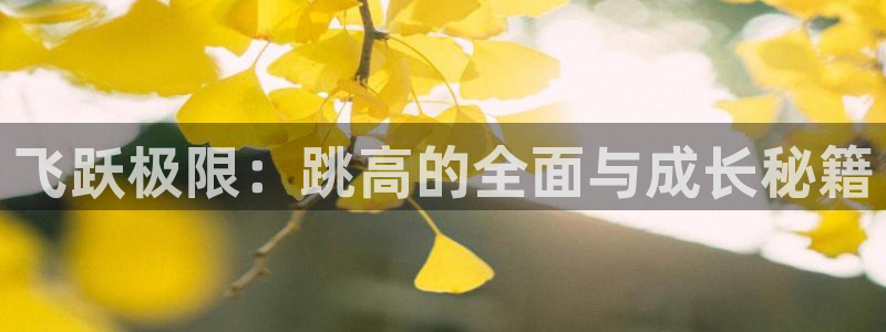 k1体育十年登录入口：飞跃极限：跳高的全面与成长秘籍