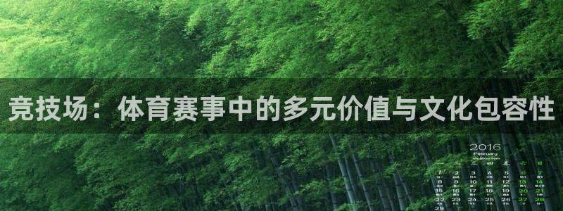 k1体育下载地址：竞技场：体育赛事中的多元价值与文化包容性
