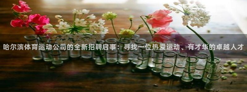 k1体育网址是多少：哈尔滨体育运动公司的全新招聘启事：寻找一位热爱运动、有才华的卓越人才