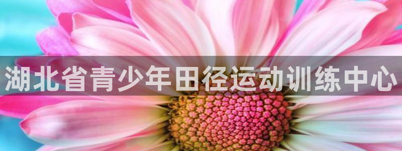 k1体育网址是多少：湖北省青少年田径运动训练中心