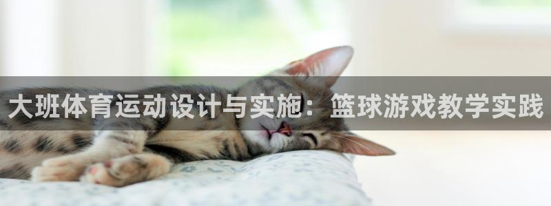 k1体育网站登录官网：大班体育运动设计与实施：篮球游戏教学实践