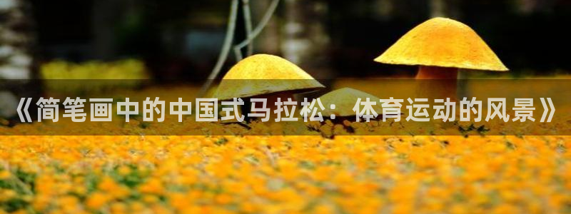 k1体育十年登录入口：《简笔画中的中国式马拉松：体育运动的风景》