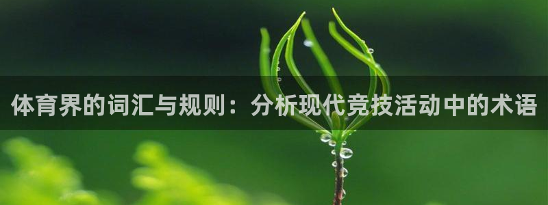 k1体育链接多少：体育界的词汇与规则：分析现代竞技活动中的术语