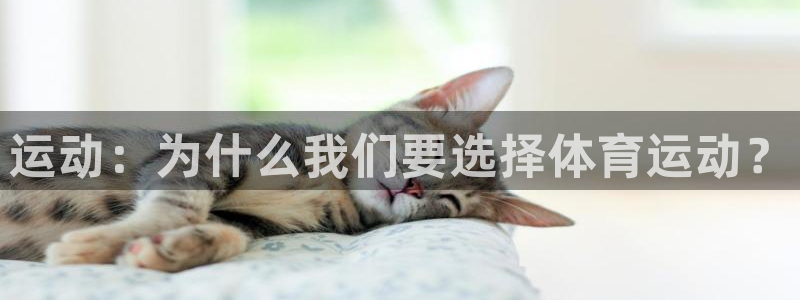 k1体育棋牌网址：运动：为什么我们要选择体育运动？