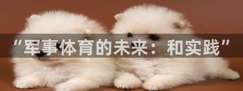 k1体育网站登录官网：“军事体育的未来：和实践”