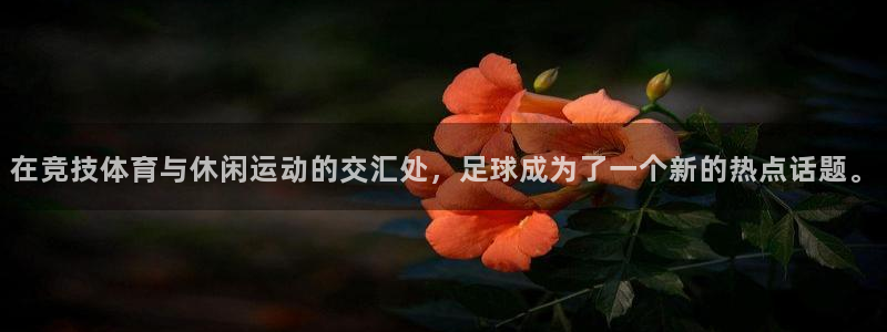 k1体育网址：在竞技体育与休闲运动的交汇处，足球成为了一个新的热点话题。