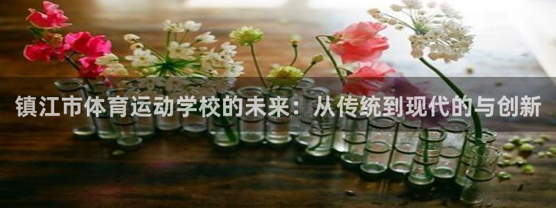 k1体育入口：镇江市体育运动学校的未来：从传统到现代的与创新