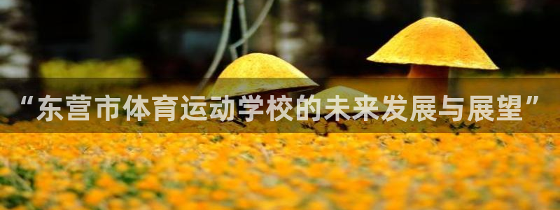 k1体育 十年品牌：“东营市体育运动学校的未来发展与展望”