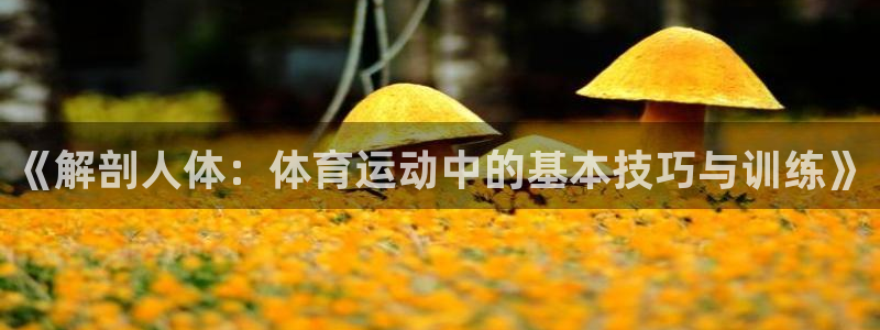 k1体育app官网登录入口：《解剖人体：体育运动中的基本技巧与训练》