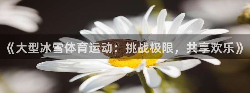 k1体育棋牌网址：《大型冰雪体育运动：挑战极限，共享欢乐》