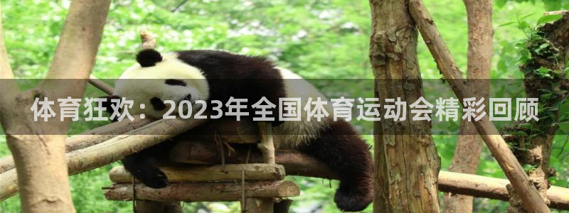 k1体育十年品牌官网：体育狂欢：2023年全国体育运动会精彩回顾